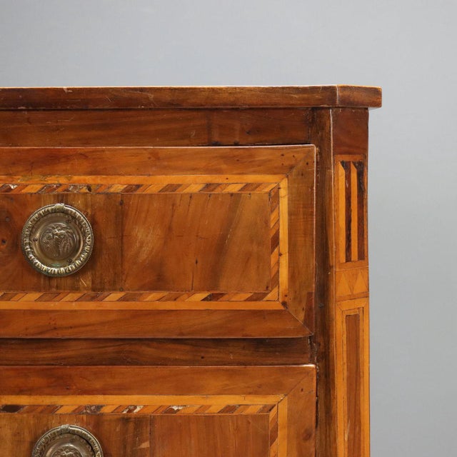 Neoclassical Walnut Chest of Drawers For Sale - Image 4 of 11
