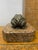Mid 20th Century Bronze Toad Box on Marble Base For Sale - Image 4 of 5