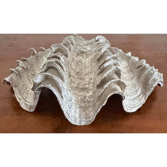 Silver Vintage Silvered Clam Shell For Sale - Image 8 of 11