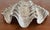 Silver Vintage Silvered Clam Shell For Sale - Image 8 of 11
