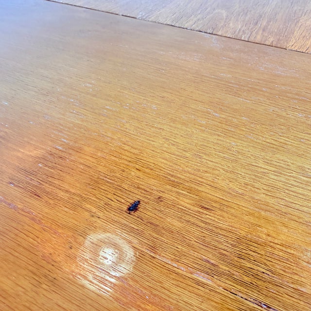 Vintage Extendable Oak Table by František Jirák for Tatra, 1960s For Sale - Image 15 of 17