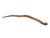 Vintage Tribal Naturalistic Carved Lg Snake Papua New Guinea 31" W For Sale - Image 4 of 6