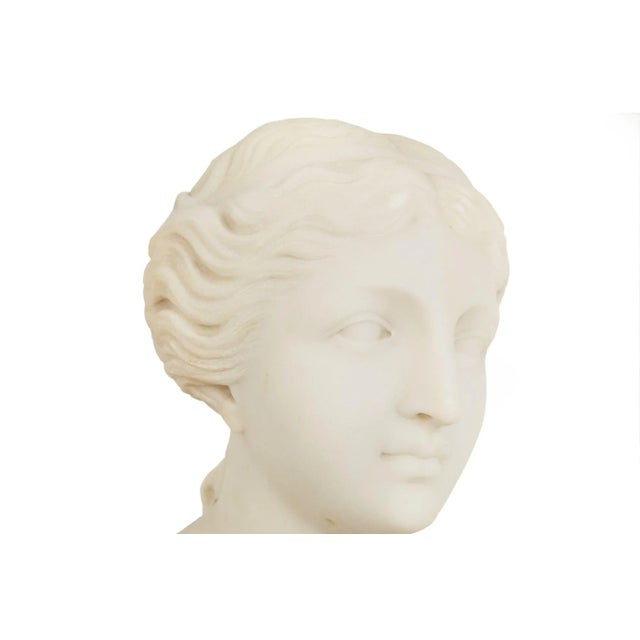 Italian Grand Tour Carved Alabaster Bust of Venus of Milo, 20th Century For Sale - Image 14 of 18