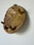 Vintage Organic Handmade Abstract Studio Pottery Wall Sculpture, Unsigned For Sale In Miami - Image 6 of 12