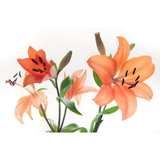 A Study in Coral and Green - Oil on Canvas For Sale