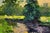 Oil Painting a Walk Through the Evening Forest Boris Serdyuk For Sale