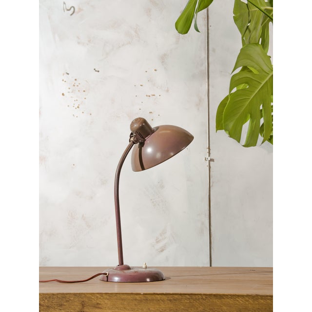 Bauhaus Brown 6556 Table Lamp from Kaiser Idell / Kaiser Leuchten, 1940s For Sale - Image 4 of 14