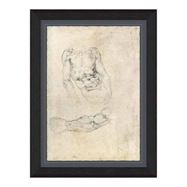 Figure Study Framed Art Print by David Phoenix For Sale