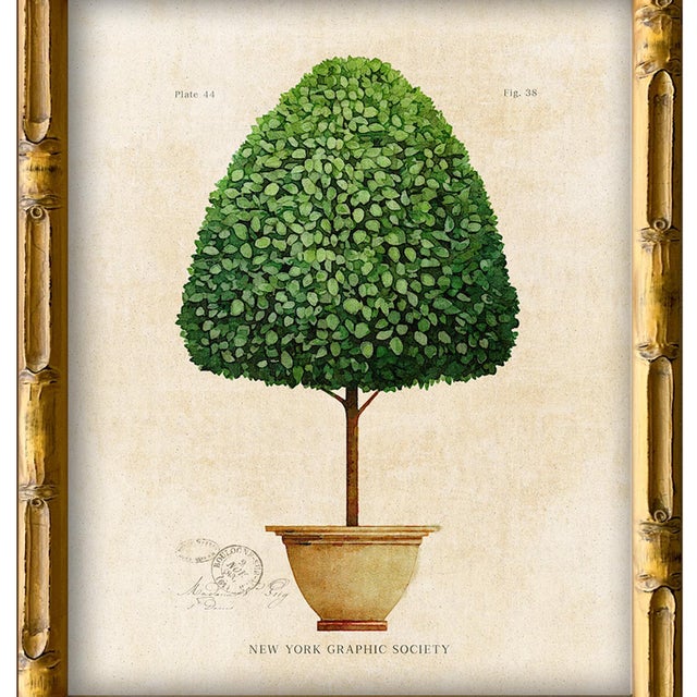 Illustration Framed Reproduction Vintage "Topiary Garden (1)" Art Print For Sale - Image 3 of 5