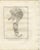 Black After Jacques de Sève, Camel Anatomy, 1769, Engravings, Set of 10 For Sale - Image 8 of 17