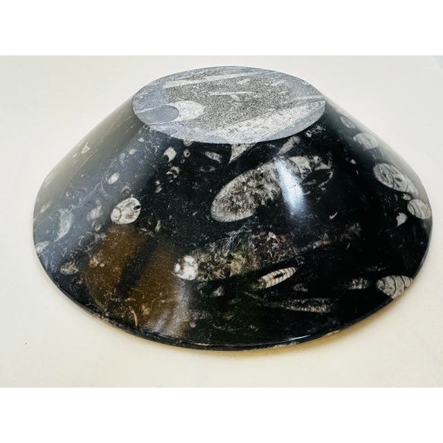 Vintage Large Orthoceras Sea Shell Ammonite Fossil Bowl Catchall Dish For Sale - Image 9 of 12