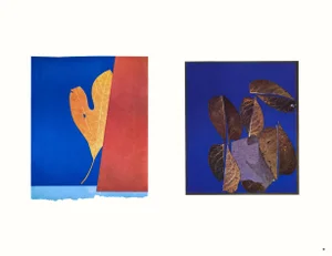 Josef Albers 1963 "Interaction of Color" Folder Xxv-1 Left Side "Autumn Leaves" Print