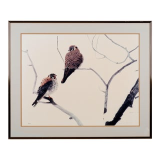 1984 Thomas D. Mangelsen "American Kestrels" Hand Signed and Numbered Limited Edition 138/850 Framed & Matted Color Photograph For Sale