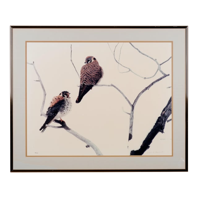 1984 Thomas D. Mangelsen "American Kestrels" Hand Signed and Numbered Limited Edition 138/850 Framed & Matted Color Photograph For Sale
