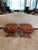 Brick Red Pair of Lion Paw Benches For Sale - Image 8 of 13