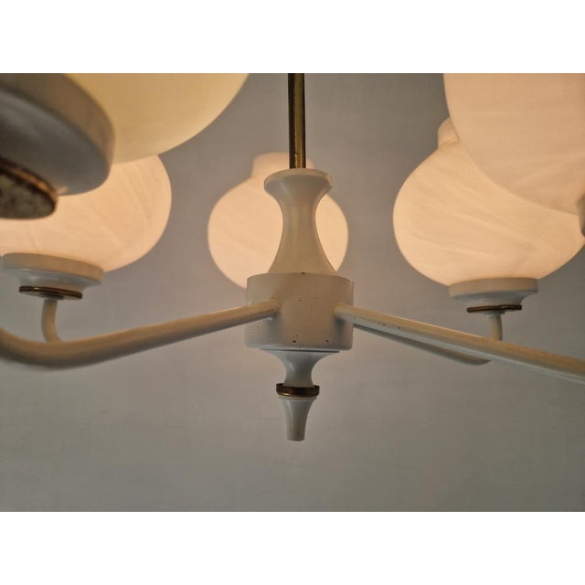 Metal Mid-Century Tulip Glass Chandelier, 1950s For Sale - Image 7 of 16