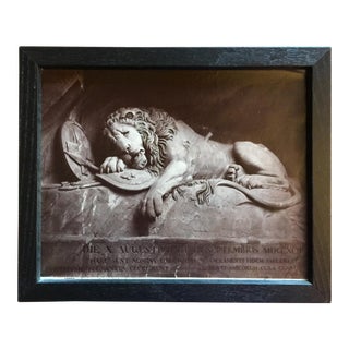 19th Century Photo of a Recumbent Stone Lion by Giorgio Sommer For Sale