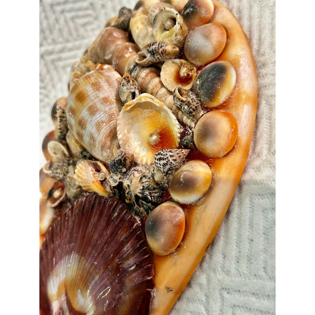 Mid-Century Mermaid Grotto Sailors Valentine Sea Shell Encrusted Vanity Hand Mirror For Sale In New Orleans - Image 6 of 12