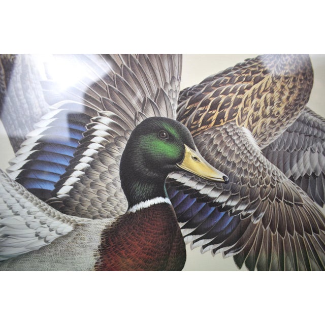 1980s Mallards in Flight For Sale In New York - Image 6 of 6