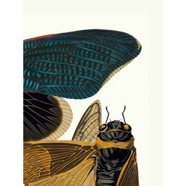 Art Deco Insects Plate 01 by Emile-Allain Séguy, Vintage Art Print Reproduction, 18" × 24" For Sale - Image 3 of 6