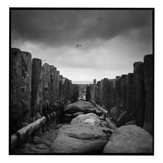 Paul Cooklin, Sea Groynes, Lynmouth Beach, North Devon, Edition of 50 For Sale