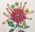Contemporary Salvador Dali "Dahlia (Fingers)" Etching, 1972 For Sale - Image 3 of 12