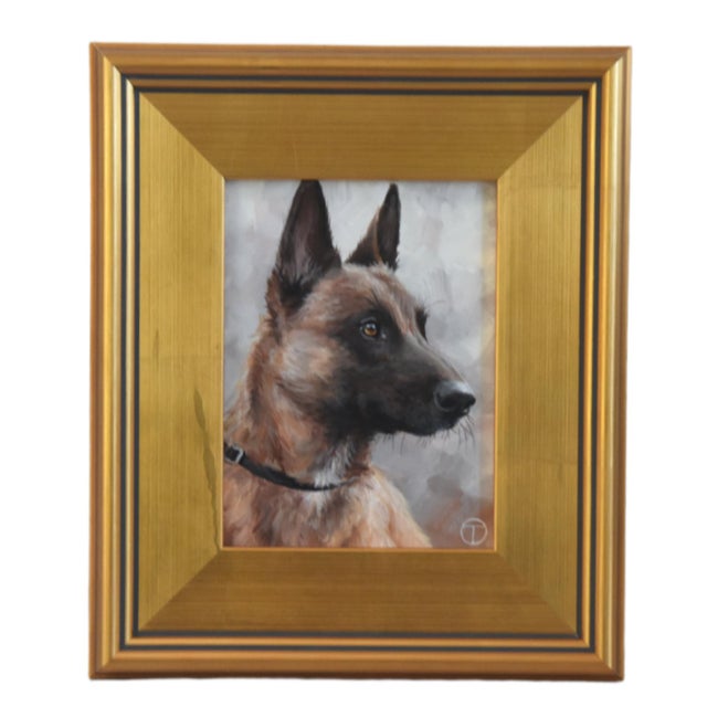 2020s Belgian Shepherd Portrait Painting Including the Antiqued Gold Wood Frame For Sale - Image 5 of 5