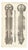 Brain and Spinal Cord in Situ from Hirschfeld, 1866 For Sale