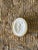 Antique Italian Grand Tour Plaster Intaglios - Set of 6 (Group #10) For Sale - Image 9 of 11