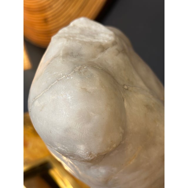 Mid-Century Modern Anatomical Skeletal Cast, Italy 80s For Sale - Image 3 of 12