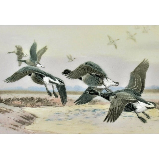 Realism Winifred Austen, Black Geese, 1934 For Sale - Image 3 of 7