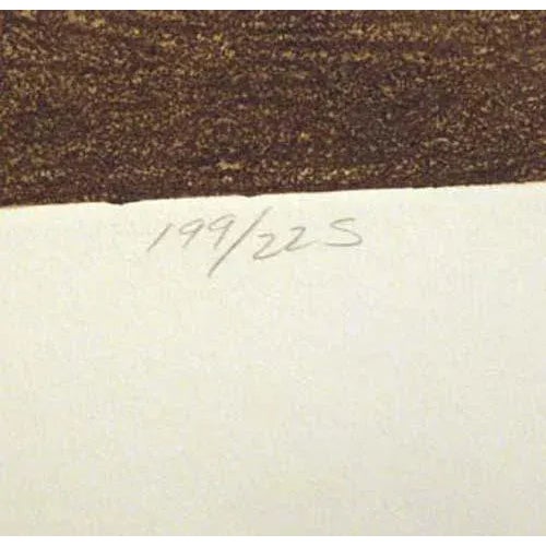 1979 "Free Spirit I" Minimalist Landscape Intaglio Etching by Lin Carte Anderson For Sale In Denver - Image 6 of 6