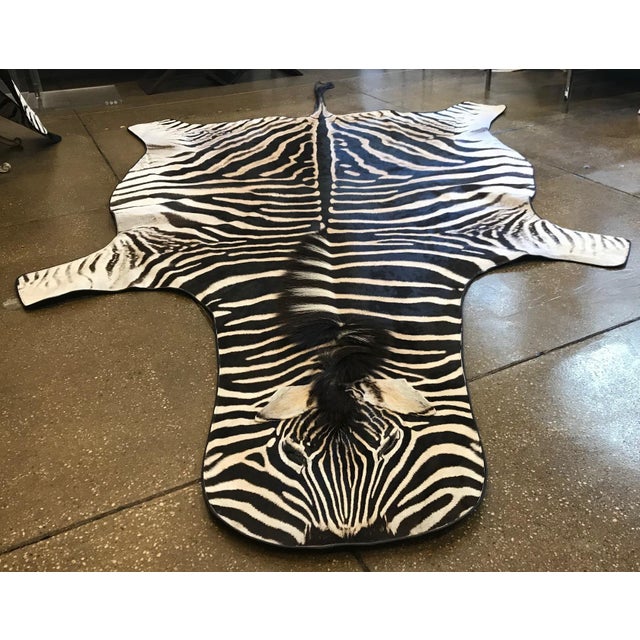 Equus Burchell Zebra Skin Rug 5′ × 8′2″ Chairish