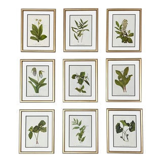 Framed Vintage Botanicals-Set of 9-1978 Wildflower Prints For Sale