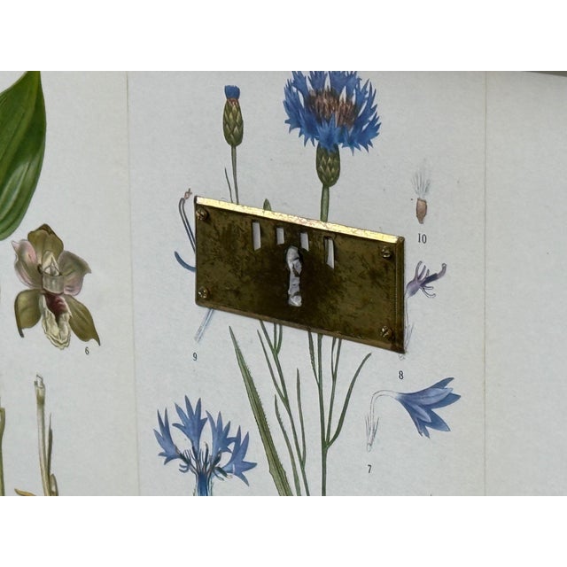 Swedish Modern, Nordens Flora Dresser, Brass, Floral Lithographs, Sweden, 1930s For Sale - Image 11 of 14