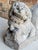 Chinese Rare Antique Tibetan Buddhist Ancient Temple Snow Lion & Wheel Architectural Ornament For Sale - Image 3 of 11