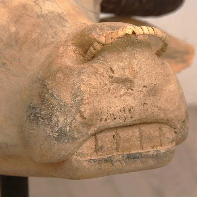 Vintage Hand Carved Water Buffalo Head Sculpture For Sale - Image 4 of 5