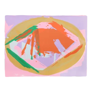 Warm Health, Darryl Hughto, Silkscreen
