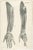 Jules Cloquet, French Anatomical, 1821, Lithograph, Set of 3 For Sale - Image 4 of 10