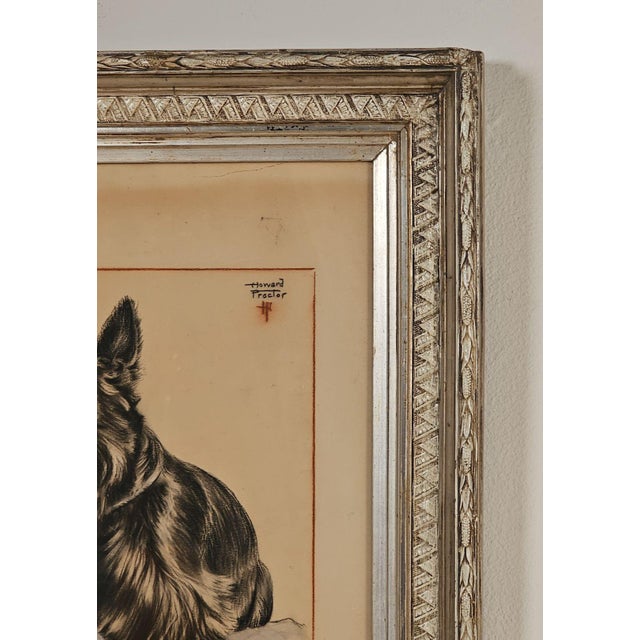 Traditional Print of a Scottie, u.s.a., 19th Century For Sale - Image 3 of 5