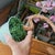 VTG Glass Pink Cherry Blossom Flowers Leaves Bonsai Tree 12" Tall 4.5" Round MCM For Sale - Image 14 of 16