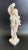 20th Century Neoclassical plaster sculpture features the nude Aphrodite holding a scarf in her hands and leaning against a...