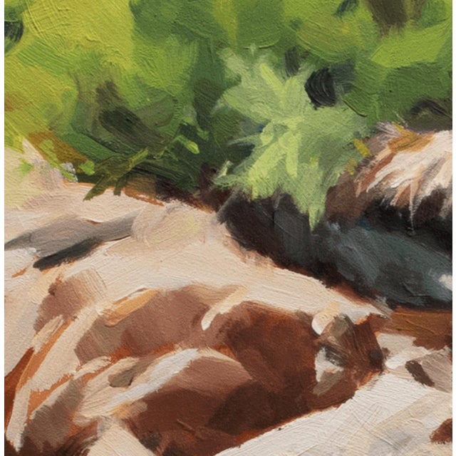 Stand Still by Judd Mercer | Oil on panel Painting of rocks and water with greenery in the background For Sale - Image 4 of 5