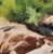 Stand Still by Judd Mercer | Oil on panel Painting of rocks and water with greenery in the background For Sale - Image 4 of 5