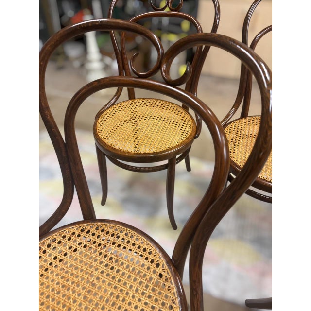 Chairs from Jacob and Josef Kohn, 1890s, Set of 6 For Sale - Image 6 of 8