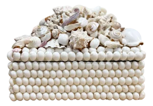 Large Shell Encrusted Lidded Box