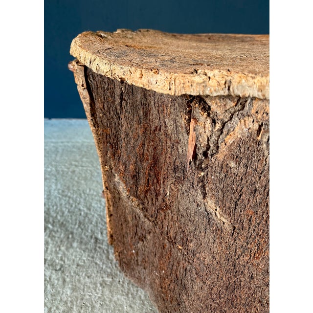 Artisan Cork Side Table, Portugal, Early 20th Century For Sale - Image 14 of 18