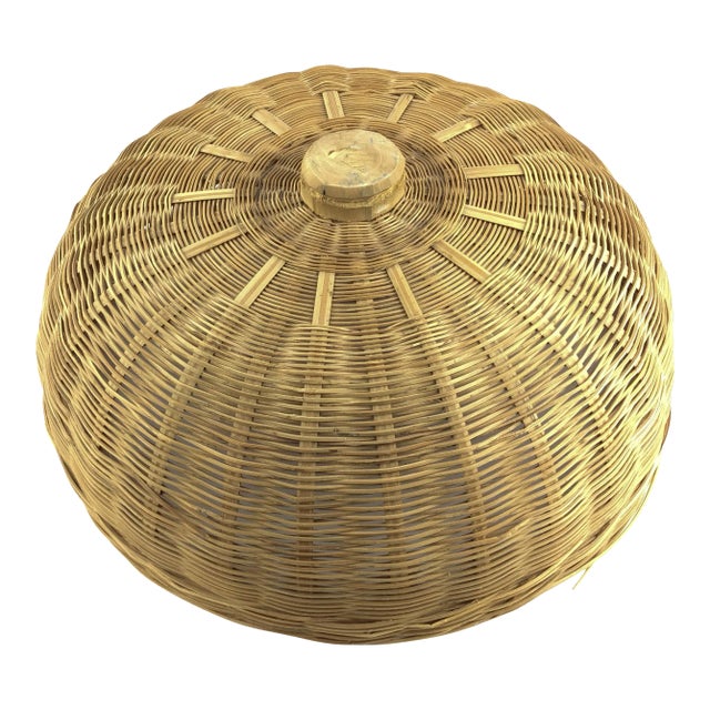 Vintage Wicker Food Protector With Top Handle For Sale