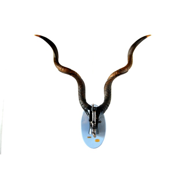 Industrial Rudolph the 6th From Chimera Watts For Sale - Image 3 of 6