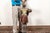 Early 19th Century Early 19th Century Italian Knight in Armor Form Marionette For Sale - Image 5 of 15
